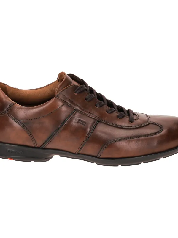 Product Lloyd Amir Sneakers for Men, Brown Image